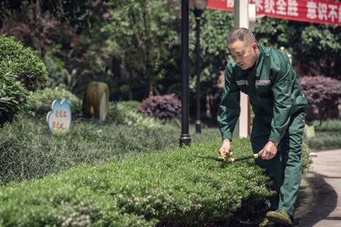 保潔綠化